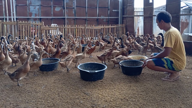 Supri, Pemuda Cirebon yang Menggerakkan Ekonomi Desa.