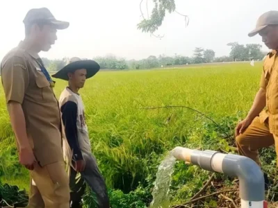 Petugas dari Dinas Pertanian dan Ketahanan Pangan Kabupaten Tangerang sedang meninjau aliran irigasi perpompaan/Pemkab Tangerang