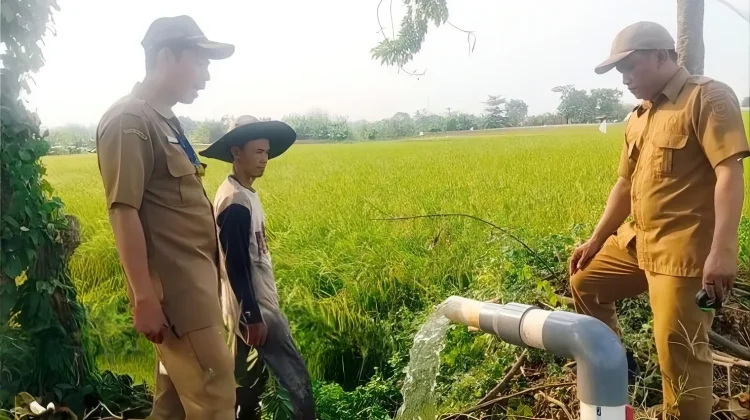 Petugas dari Dinas Pertanian dan Ketahanan Pangan Kabupaten Tangerang sedang meninjau aliran irigasi perpompaan/Pemkab Tangerang