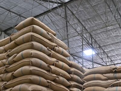 stok beras di Gudang/iStock Nakornkahi