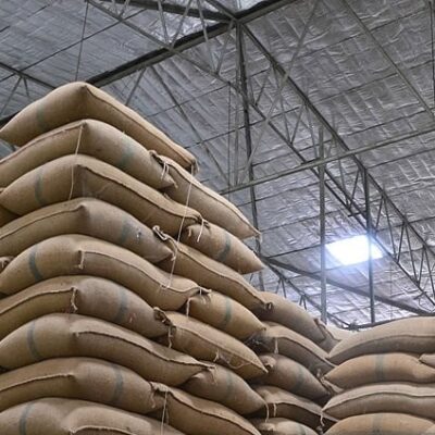 stok beras di Gudang/iStock Nakornkahi
